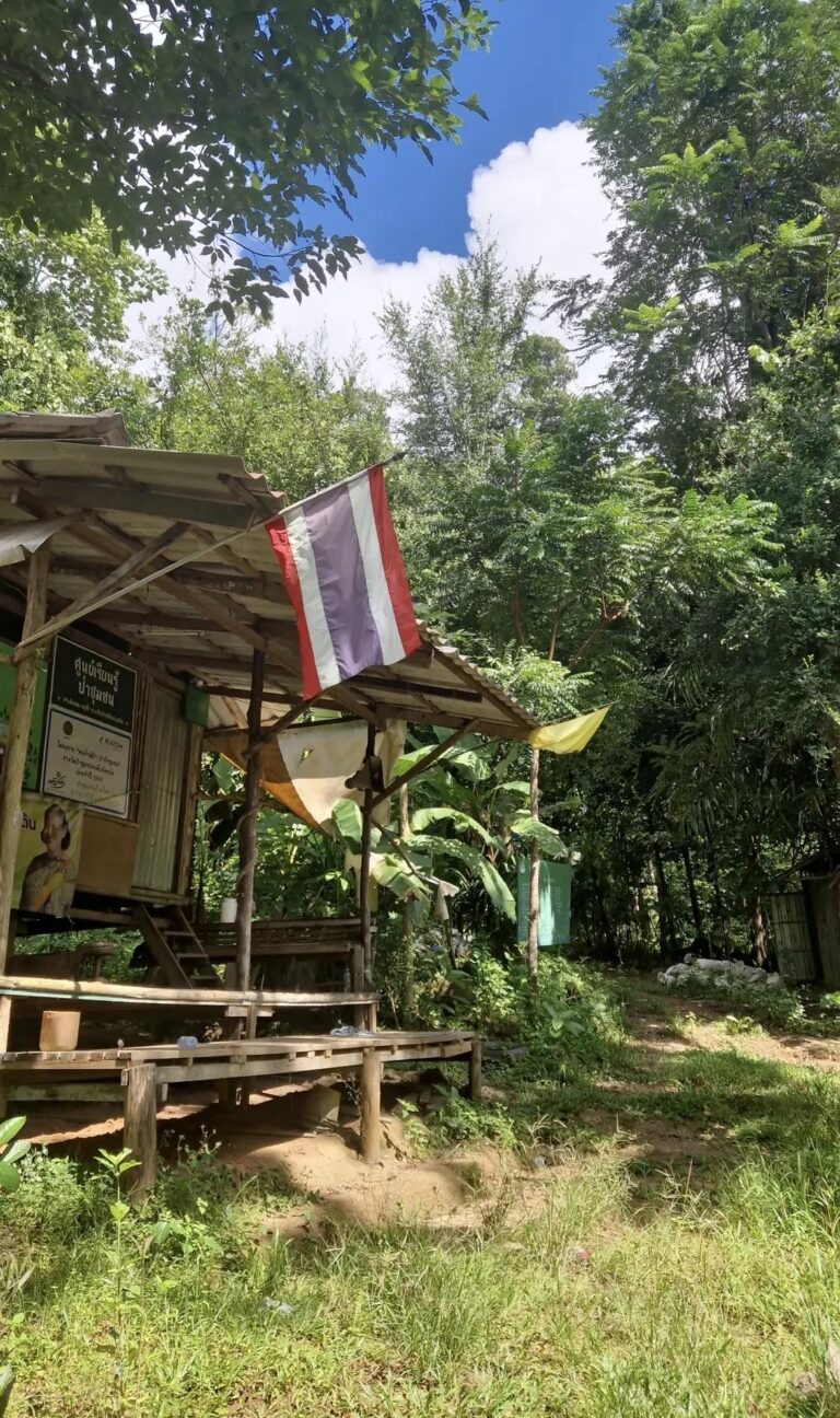 Nature Phuket Reserve Trail