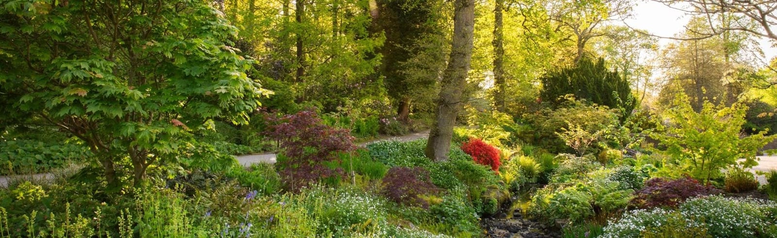 Chelsea Flower Show