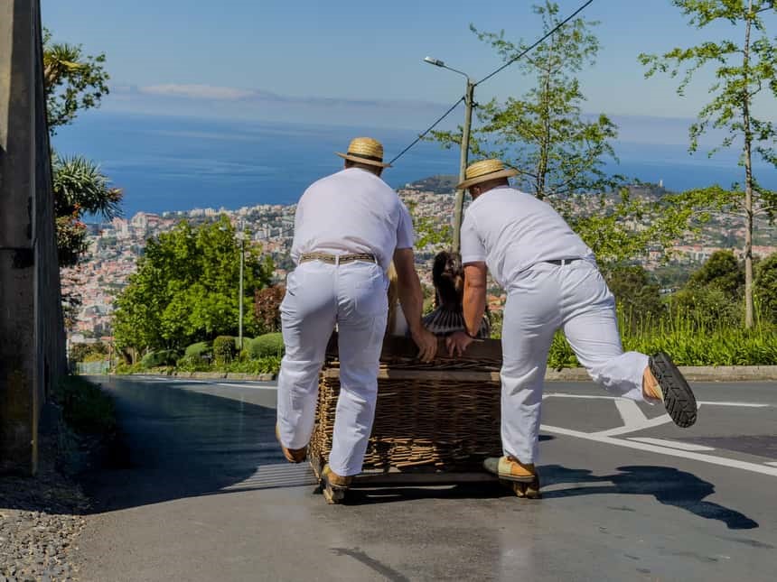 Toboggan en Traîneau de Monte — Descente emblématique entre tradition et sensations 🛷🌴
