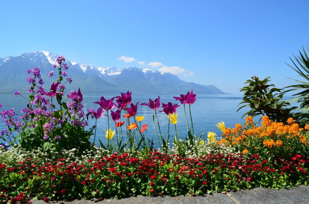 Montreux — La perle de la Riviera vaudoise 🌊