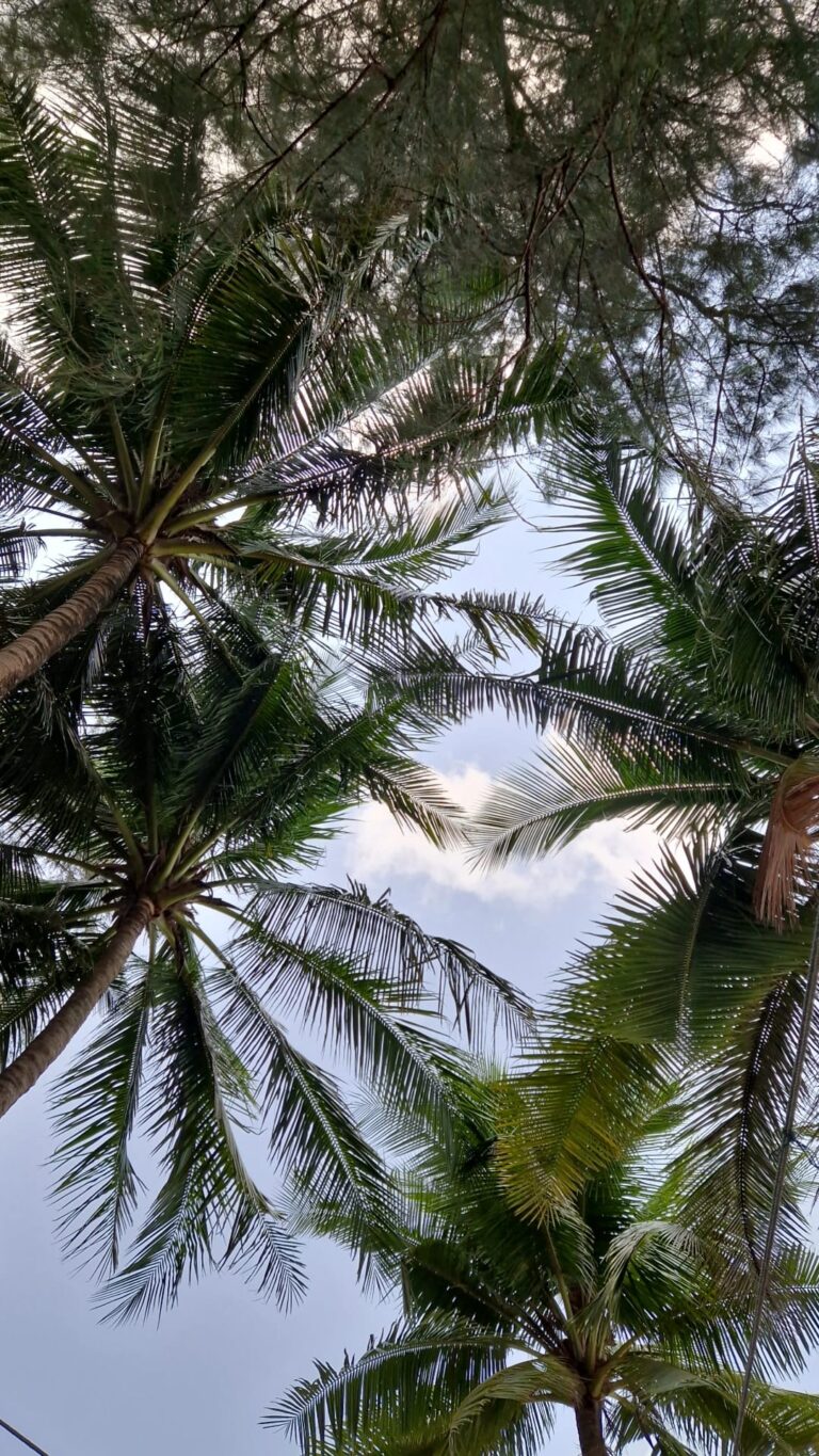 Bang Tao Beach - Plage de sable doré entre détente et élégance 🏖️🌴