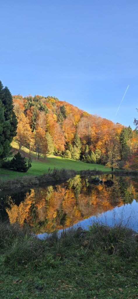 L'Arboretum d'Aubonne — Une balade féérique en famille 🍂