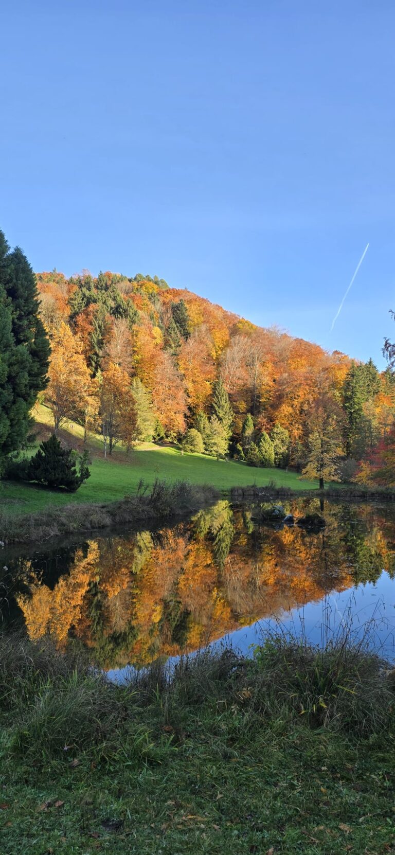L'Arboretum d'Aubonne — Une balade féérique en famille 🍂