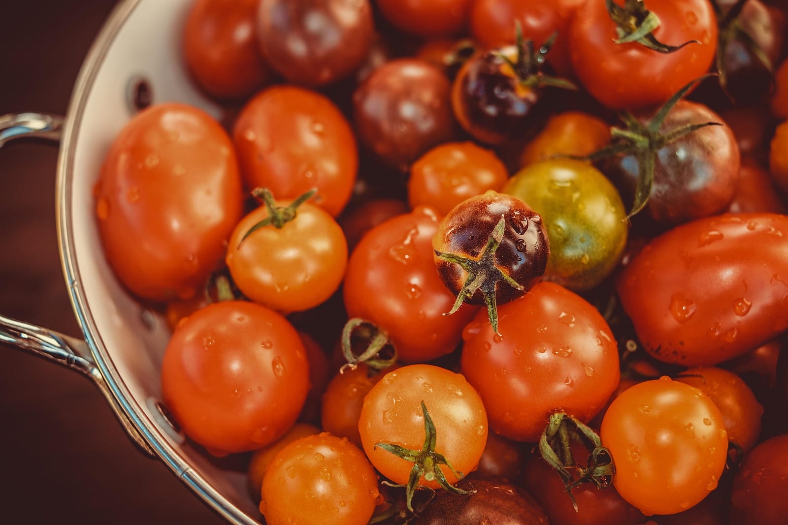 Tomatina de Buñol