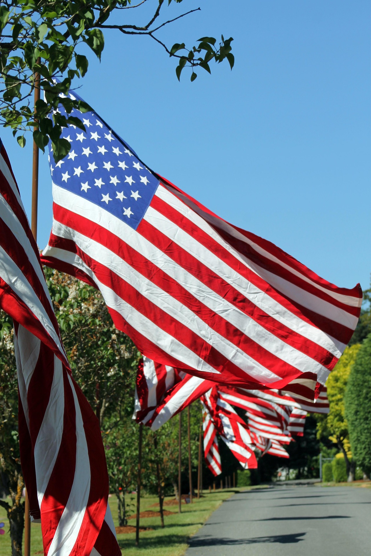 Independence Day
