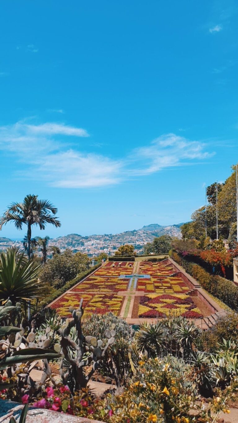 Jardin Botanique de Funchal — Un tableau vivant aux mille couleurs 🌺🦎🌿