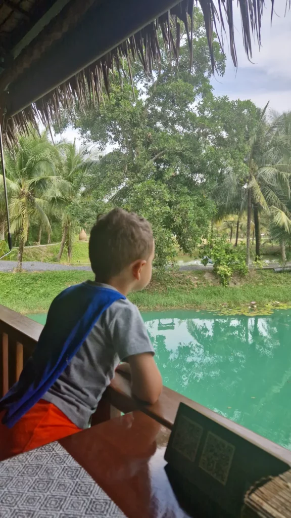 Old Phuket Farm — Une immersion ludique dans la vie traditionnelle de Phuket 🌴🥥
