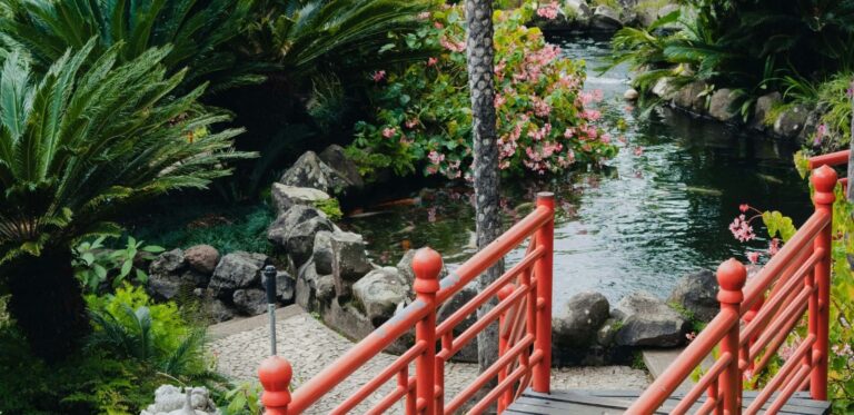 Jardin Tropical de Monte Palace — Une parenthèse exotique 🌺🌿