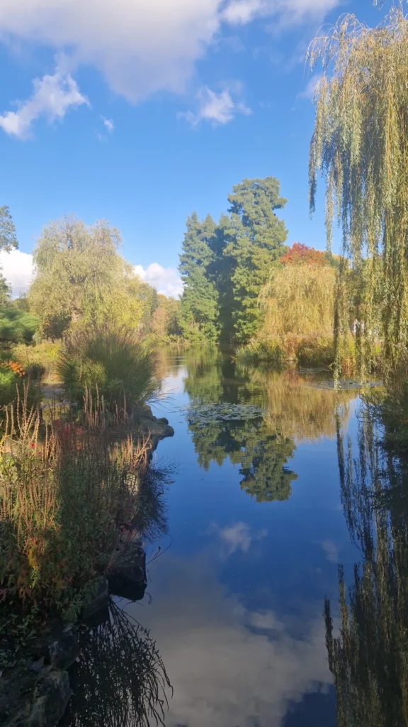 Queen Mary's Gardens — Un écrin de roses en plein cœur de Regent's Park