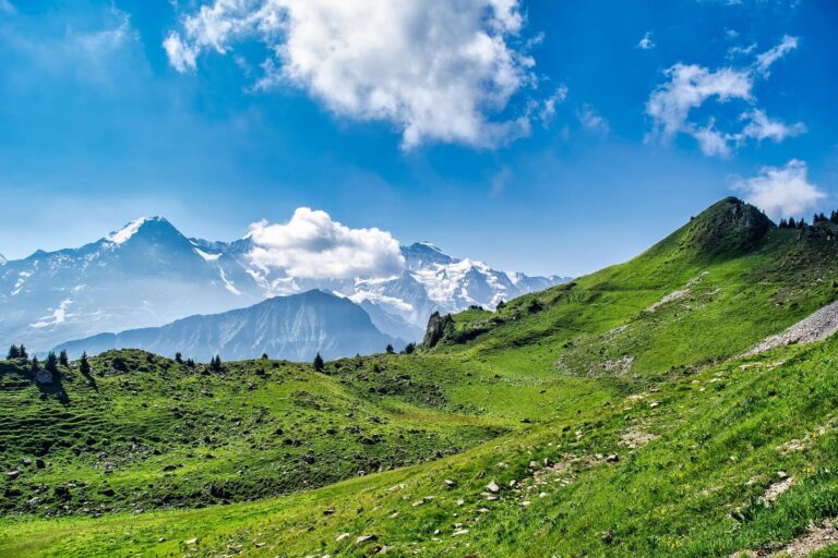 Suisse