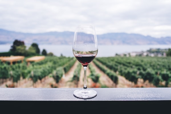 Festival du Vin de Madère