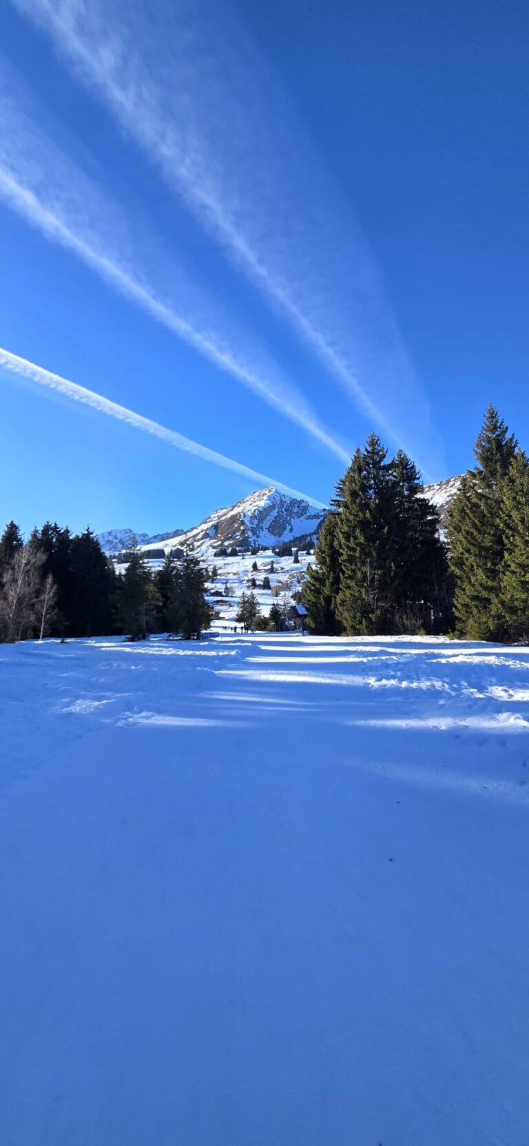 Les Mosses en hiver — Balades enneigées & plaisirs simples en famille