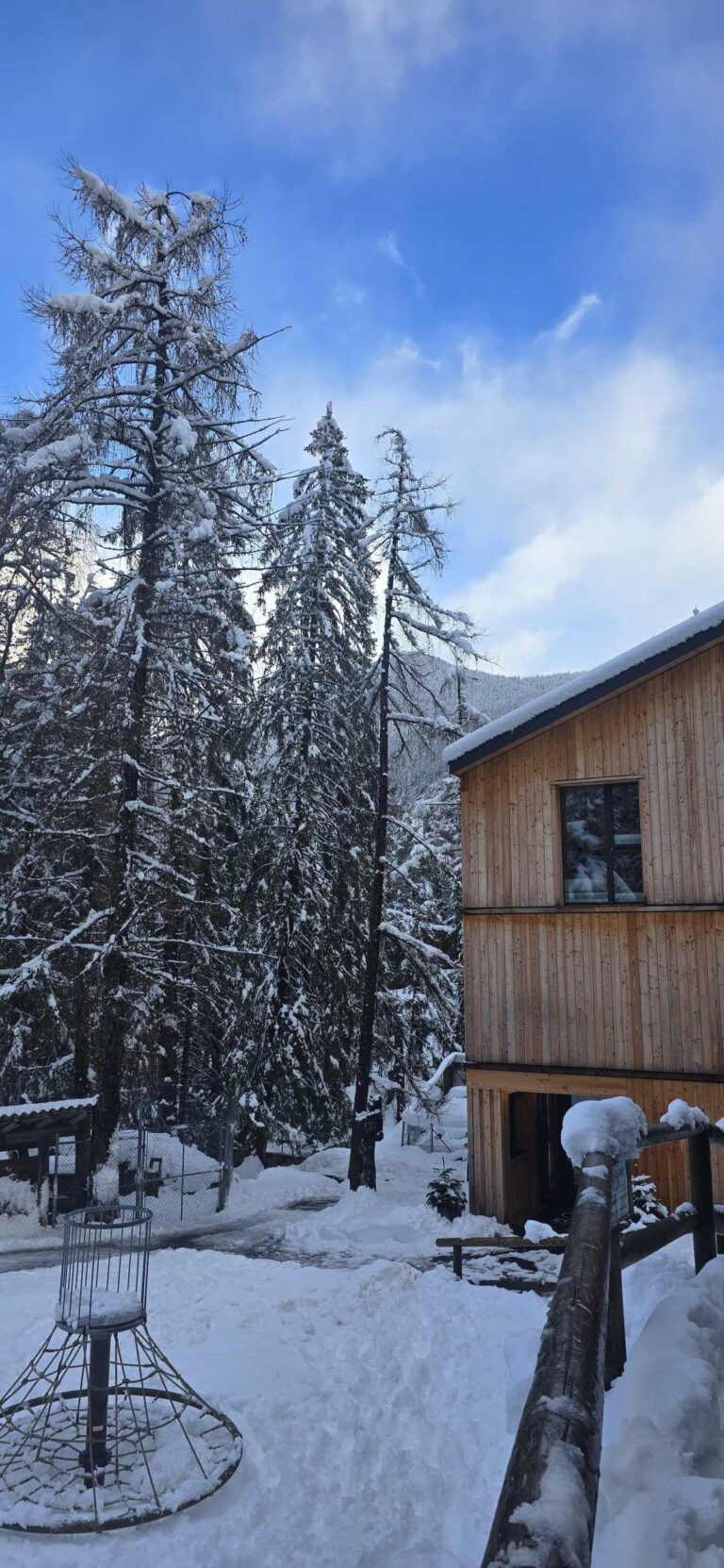 Hotel Zoo des Marécottes — Nature, animaux et moment magique 🐻🌲