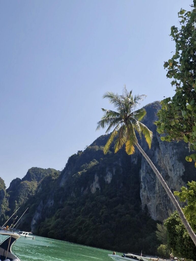 Koh Phi Phi — Les îles de carte postale entre falaises et eaux turquoise 🏝️🌊