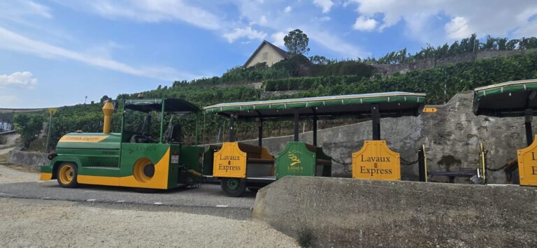 Lavaux Express depuis Lutry