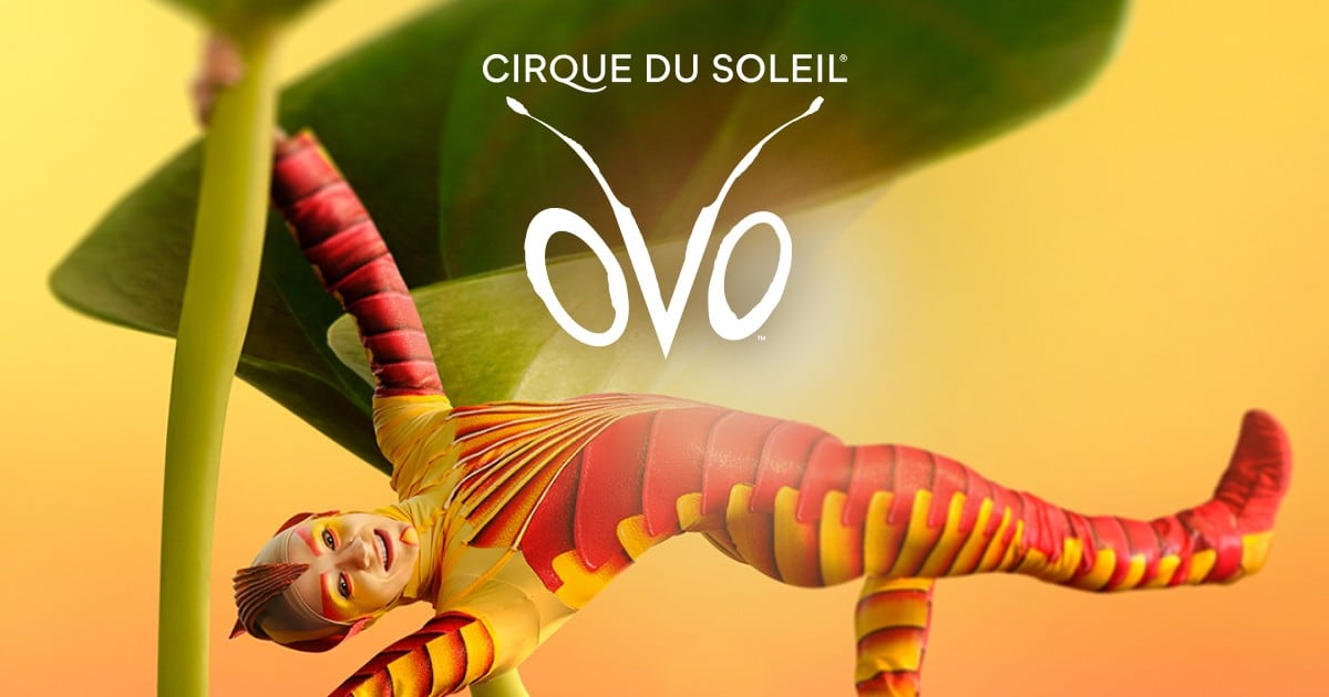 Ovo - Cirque du Soleil - Tournée