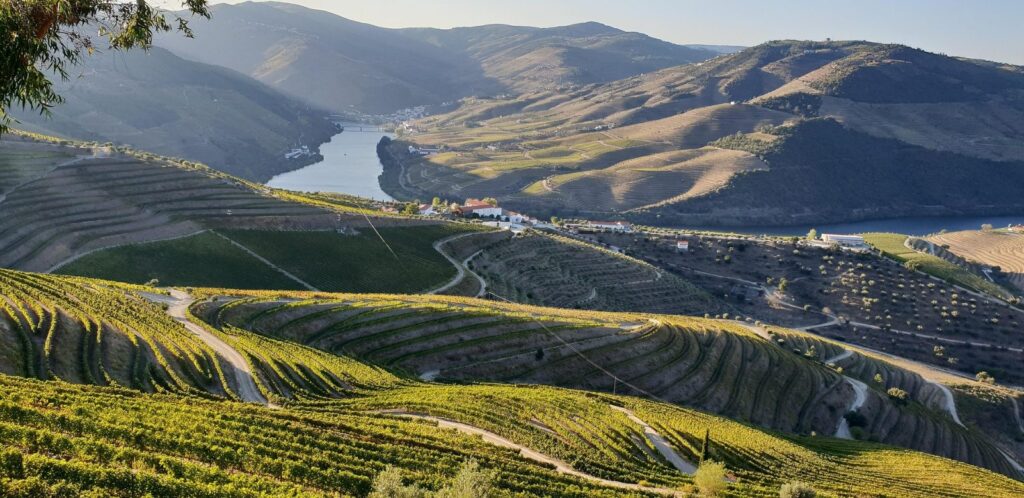 Le Douro – Une parenthèse magique au cœur du Portugal