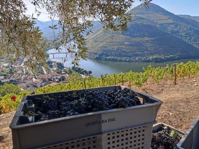 Quinta da Foz à Pinhão – À la découverte des vins du Douro