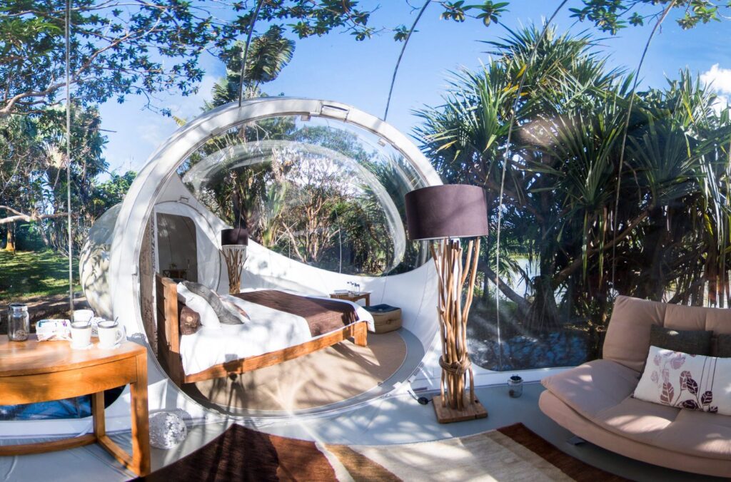 Bubble Lodge Bois Chéri : dormir sous les étoiles au cœur des plantations de thé 🌿